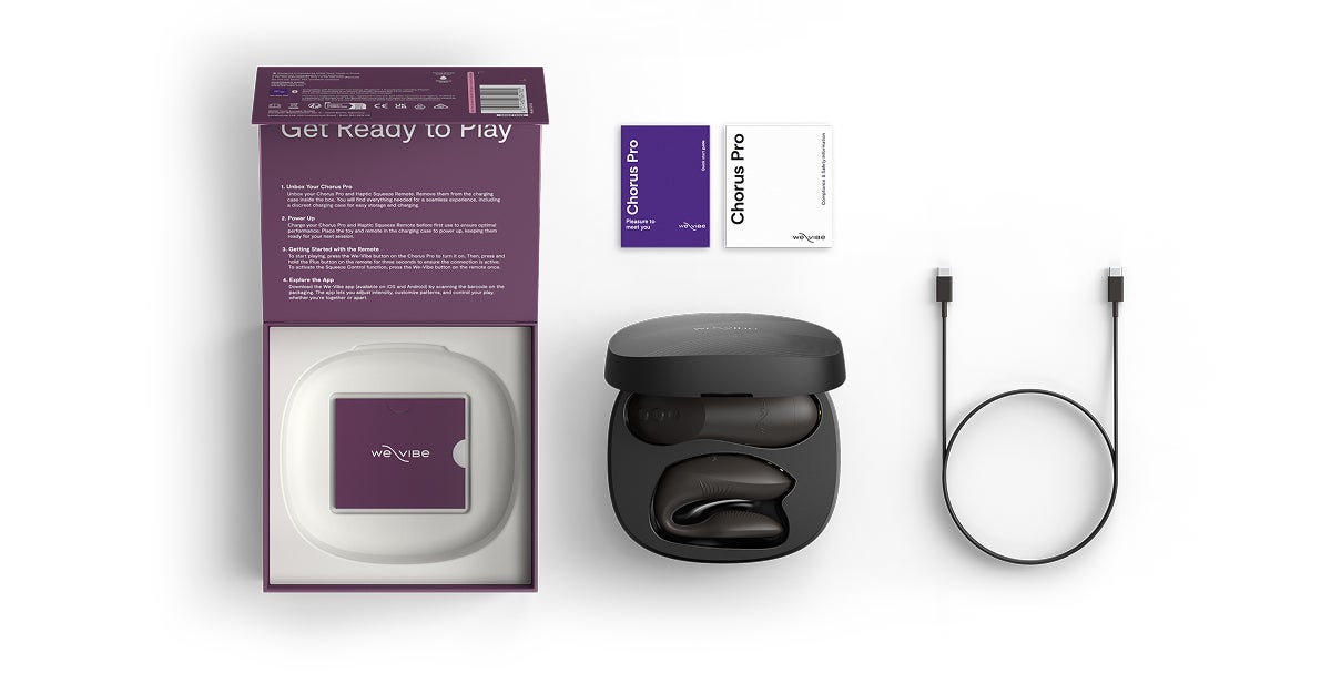 Chorus Pro In The Box