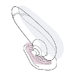 Nun kannst Du den Kopf des WOMANIZERs auf die Klitoris setzen.